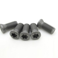 SO25065 I CNC tools parts Torx Carbide Insert Screws for CNC Turning Tool Holder screw